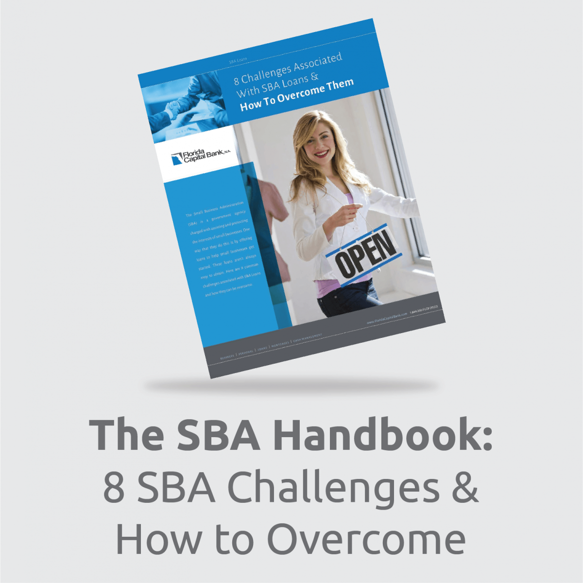 SBA eBook PDF download