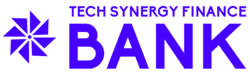 Tech Synergy Finance Bank 